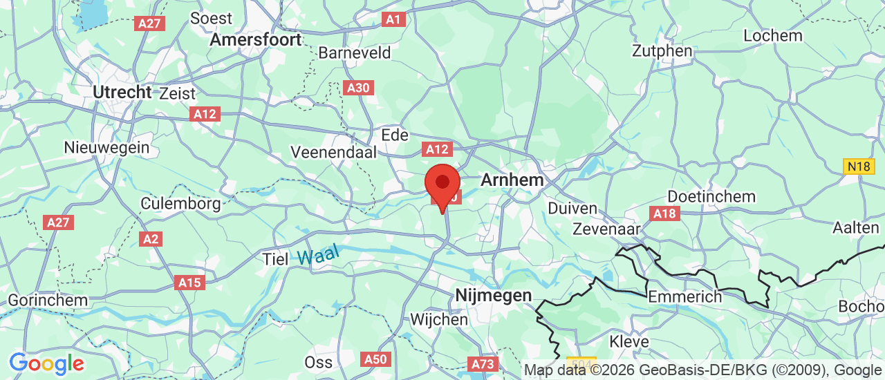 Google maps locatie van Borgers Auto Import
