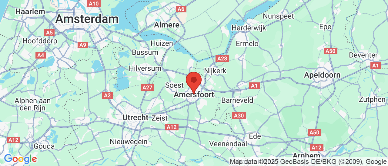 Google maps locatie van Waardenburg Auto's