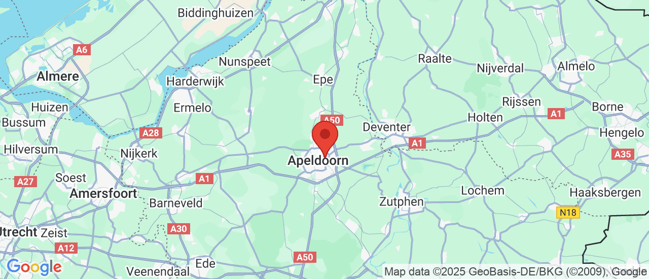 Google maps locatie van De Vries Automotive