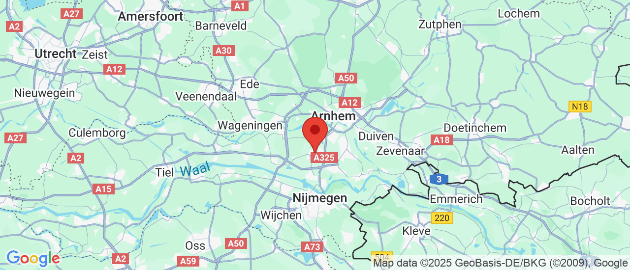 Google maps locatie van Wassink Autogroep O Elst