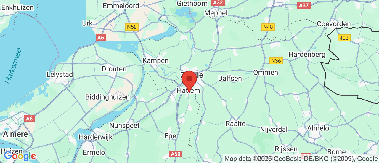 Google maps locatie van Fiechter Automotive