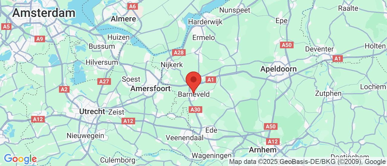 Google maps locatie van Roordink Bedrijfswagens Barneveld B.V.
